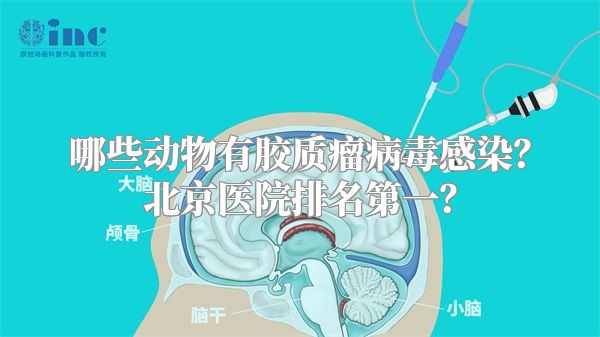 哪些动物有胶质瘤病毒感染？北京医院排名第一？