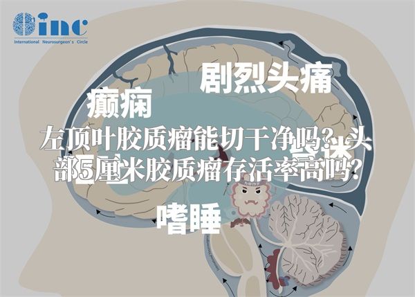 左顶叶胶质瘤能切干净吗？头部5厘米胶质瘤存活率高吗？