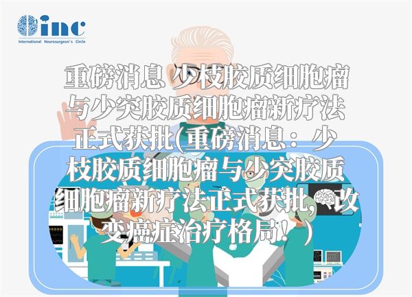 重磅消息 少枝胶质细胞瘤与少突胶质细胞瘤新疗法正式获批(重磅消息：少枝胶质细胞瘤与少突胶质细胞瘤新疗法正式获批，改变癌症治疗格局！)