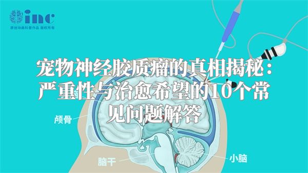 宠物神经胶质瘤的真相揭秘：严重性与治愈希望的10个常见问题解答