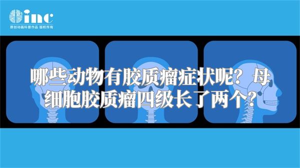 哪些动物有胶质瘤症状呢？母细胞胶质瘤四级长了两个？