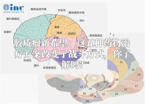 胶质瘤新希望：这五种药物治疗方案改变了战斗方式，你了解吗？